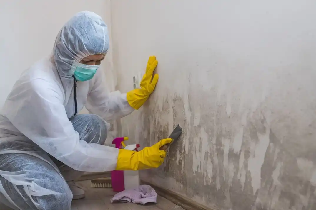 water damage restoration service West Woodland